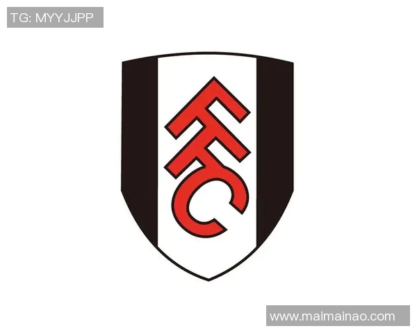 英超球队logo含义:探索英超球队logo背后的象征意义与设计理念 英超球队logo含义:探索英超球队logo背后的象征意义与设计理念